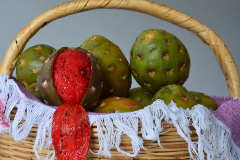 La ruta de la Pitaya